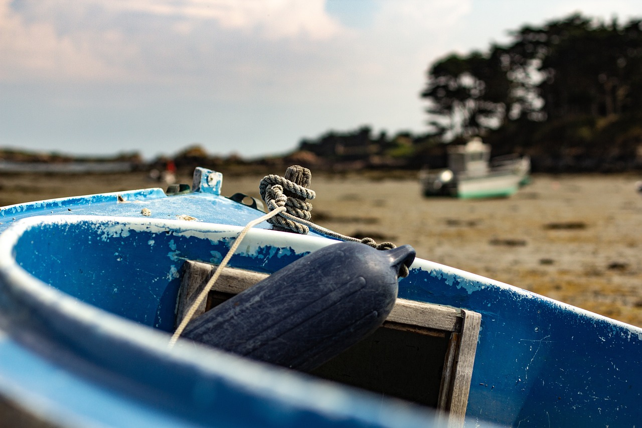 海口疫情动态，守护健康，共筑防线