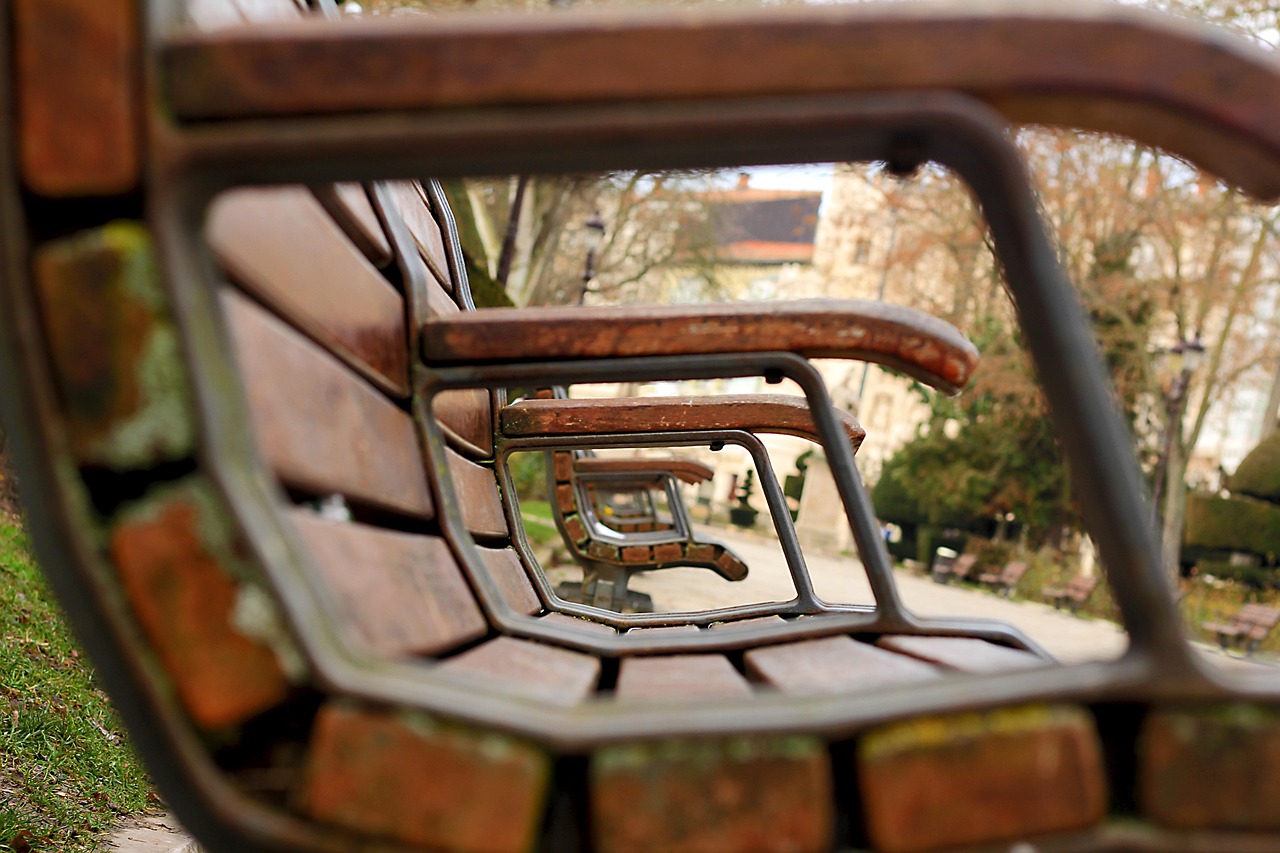 莆田市疫情最新动态，携手共筑健康防线