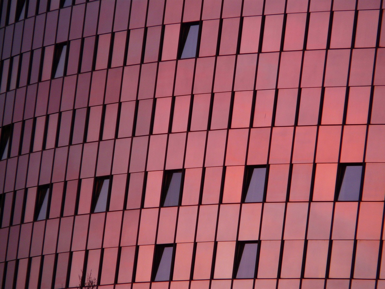 黑龙江疫情新动态,19例本土新增病例引发关注 黑龙江疫情新动态,19例本土新增病例引发关注