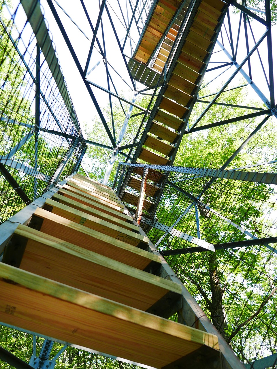 疫情新动态，全球视角下的挑战与希望