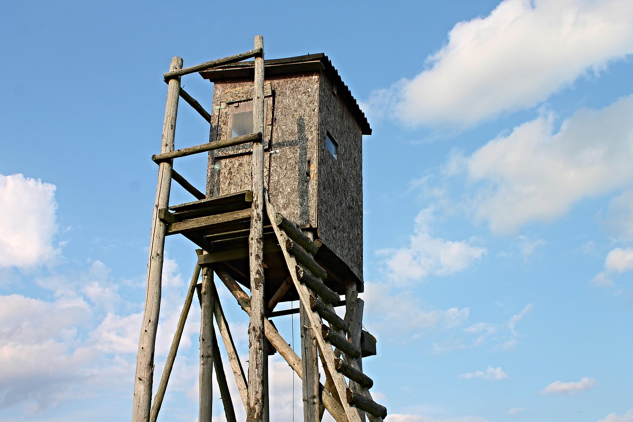 上海3地列为中风险地区，理解、应对与未来展望