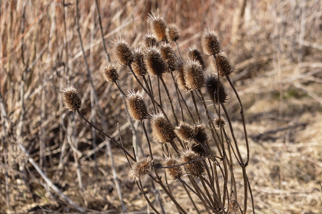 上海宝山区疫情最新动态,了解、预防与应对 上海宝山区疫情最新动态,了解、预防与应对