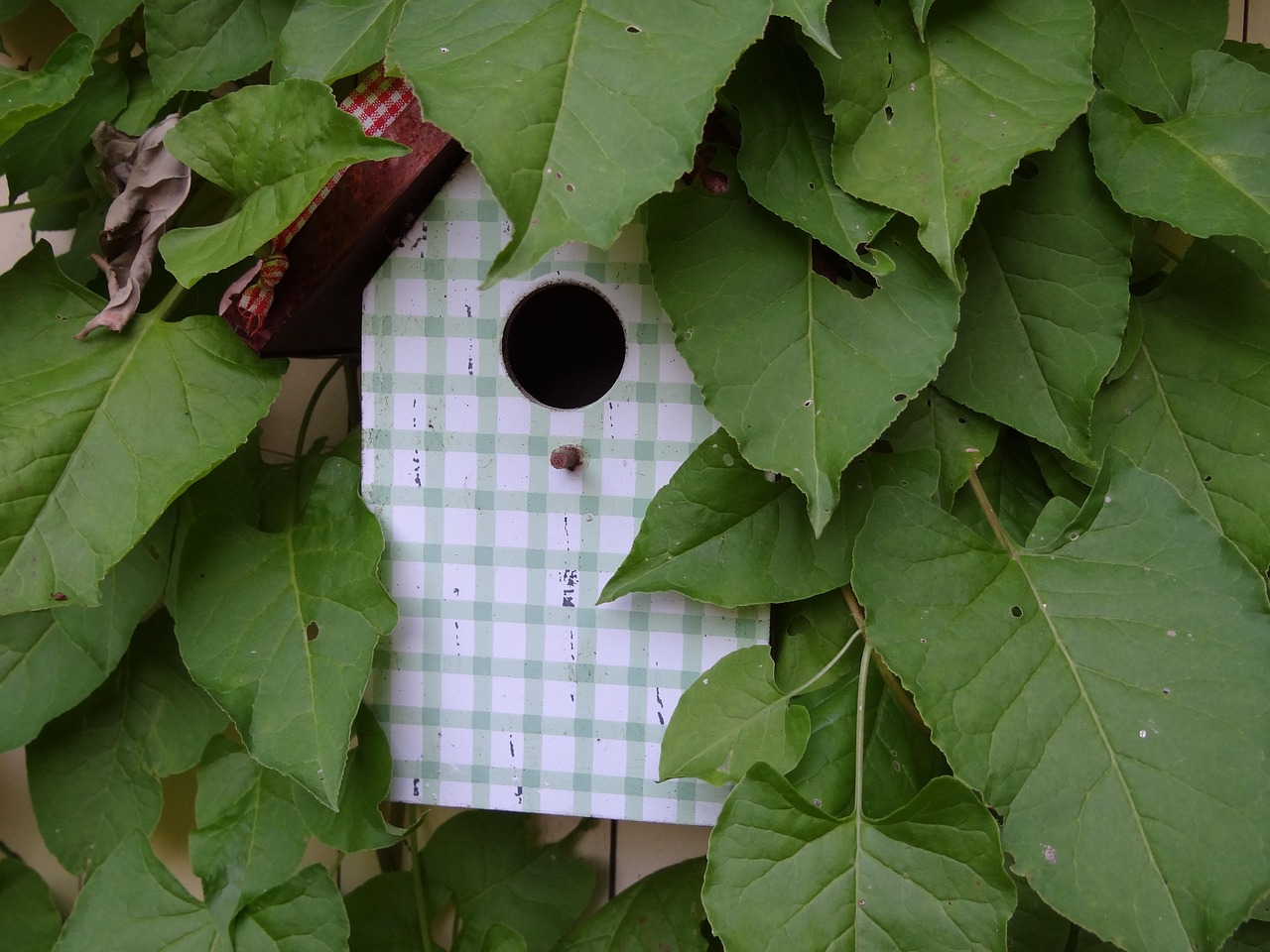 北京疫情新动态，新增7例感染者，涉及3区紧急响应