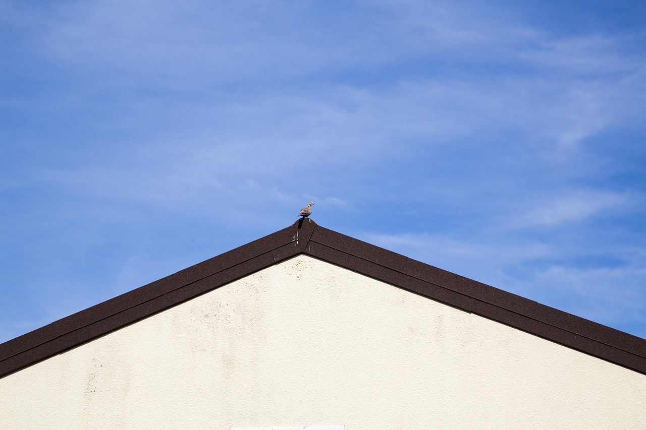 广州白云区疫情新动态，1名阳性感染者发现后的应对与防护指南