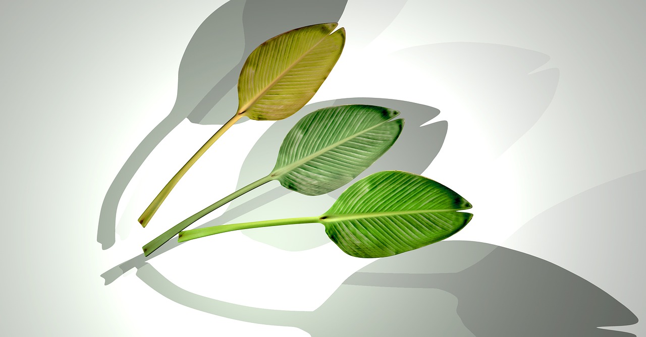 上海疫情新动态，今日新增3例本土确诊病例，市民如何做好防护？