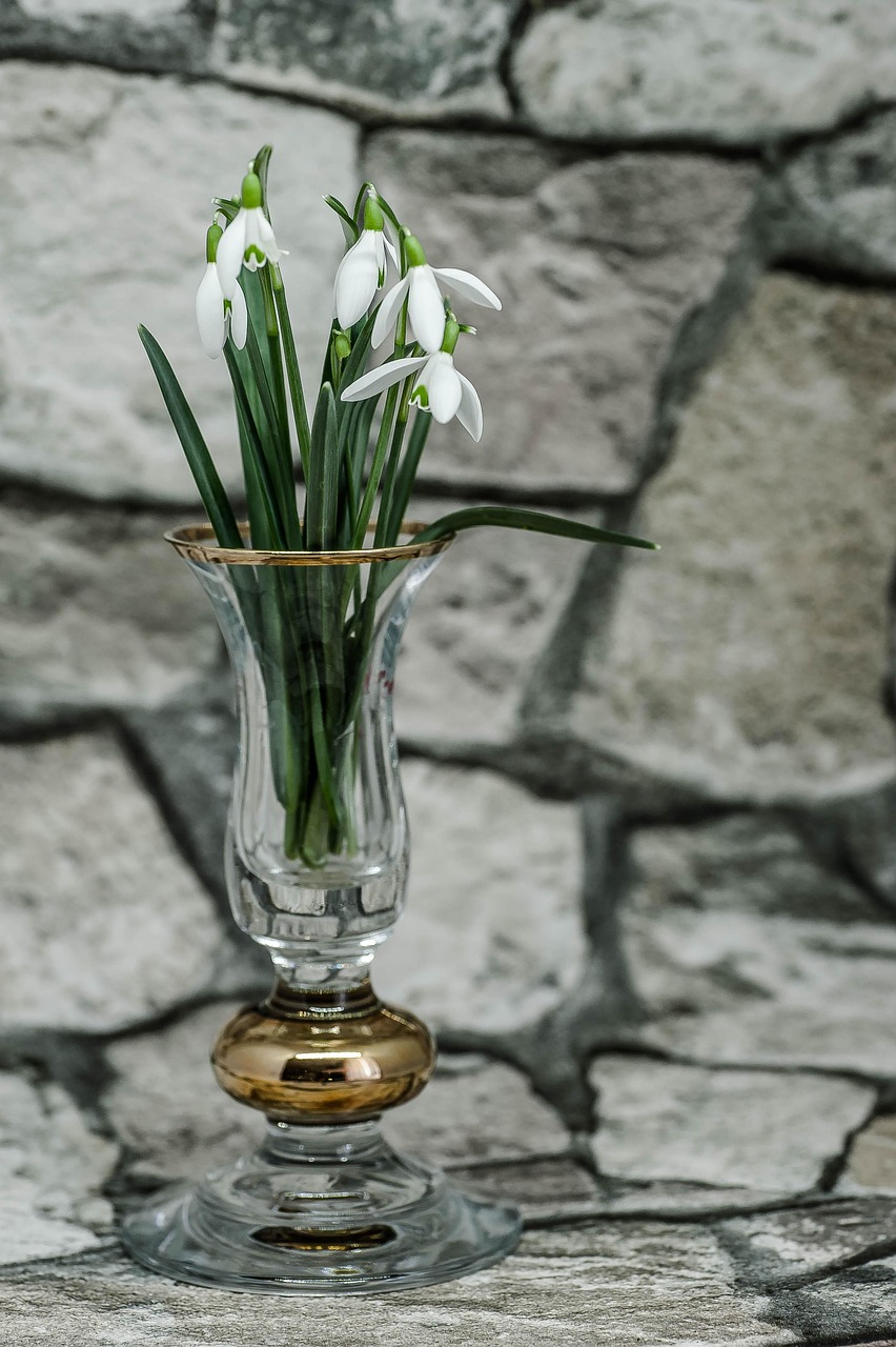 北京战疫新动态，社会面筛查发现5例感染者，我们如何应对？