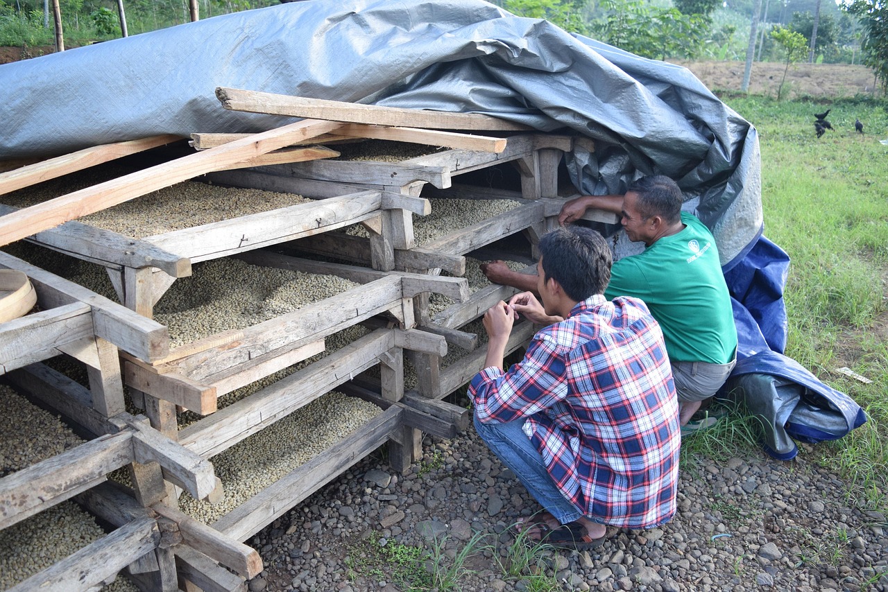 中国疫情动态，31省区市新增本土确诊50例的深度解析