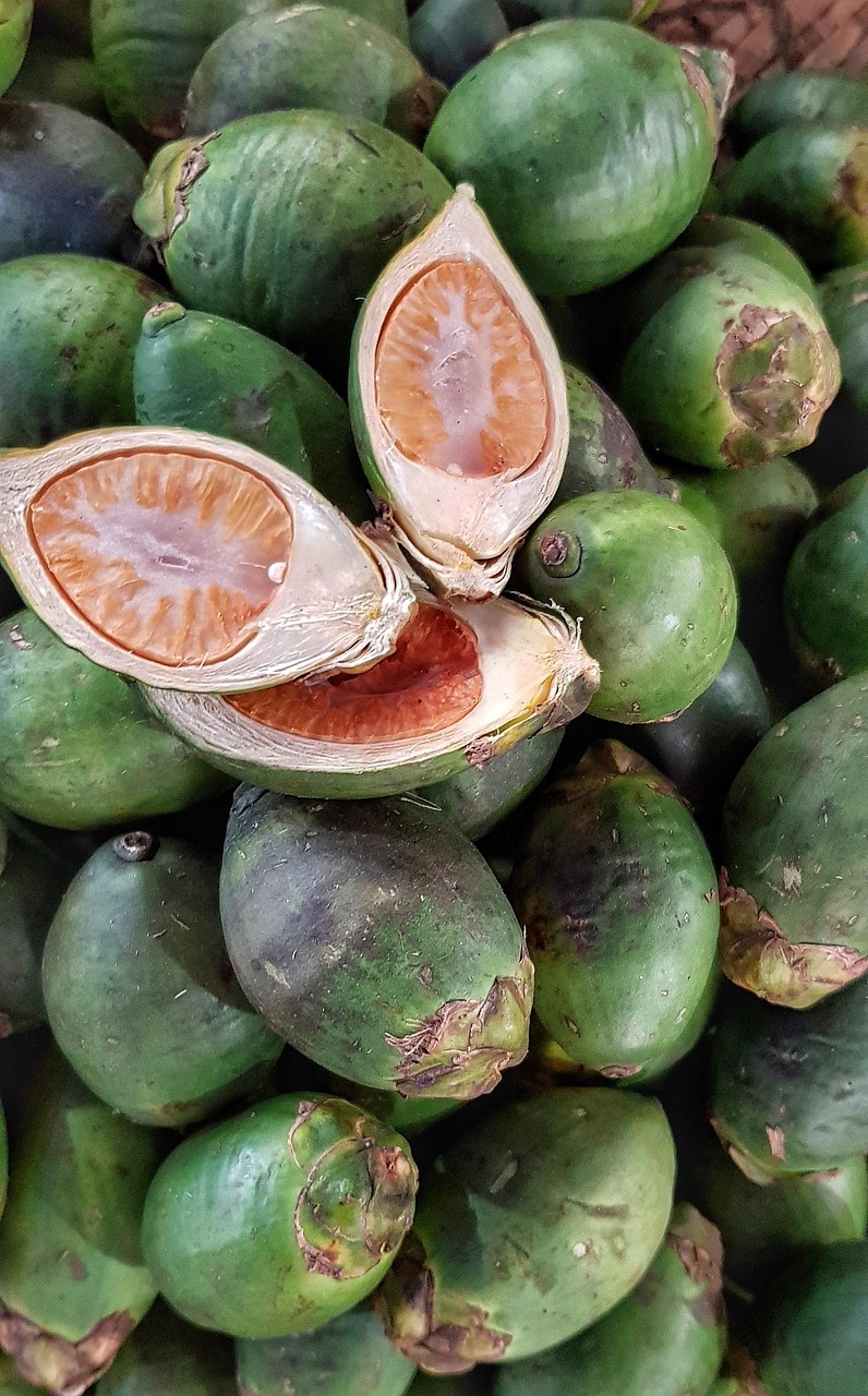 湖南疫情新动态，新增本土确诊病例2例的应对与预防