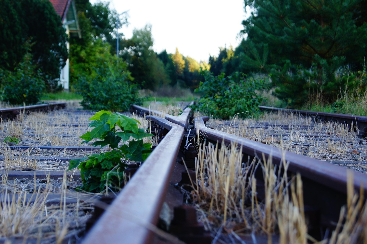 济南疫情新动态，本土确诊病例行程轨迹解析与防疫指南
