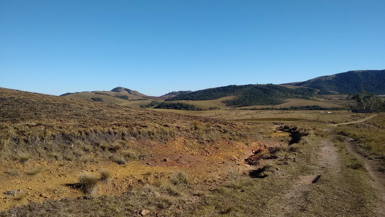 广东疫情新动态，深入解析新增17例本土确诊的影响与防控策略