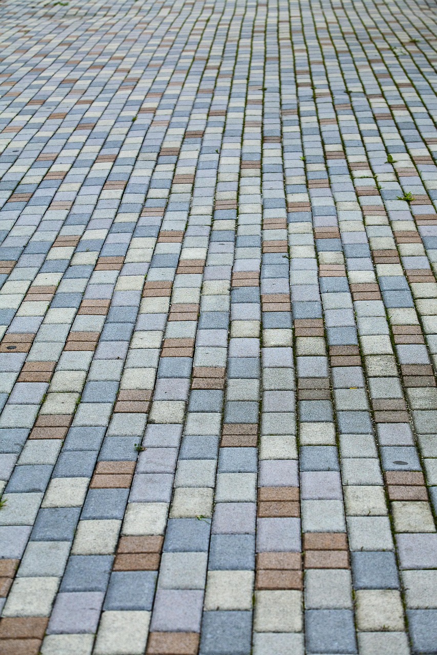 吉林省疫情新动态，新增本土确诊病例1例的深度解析