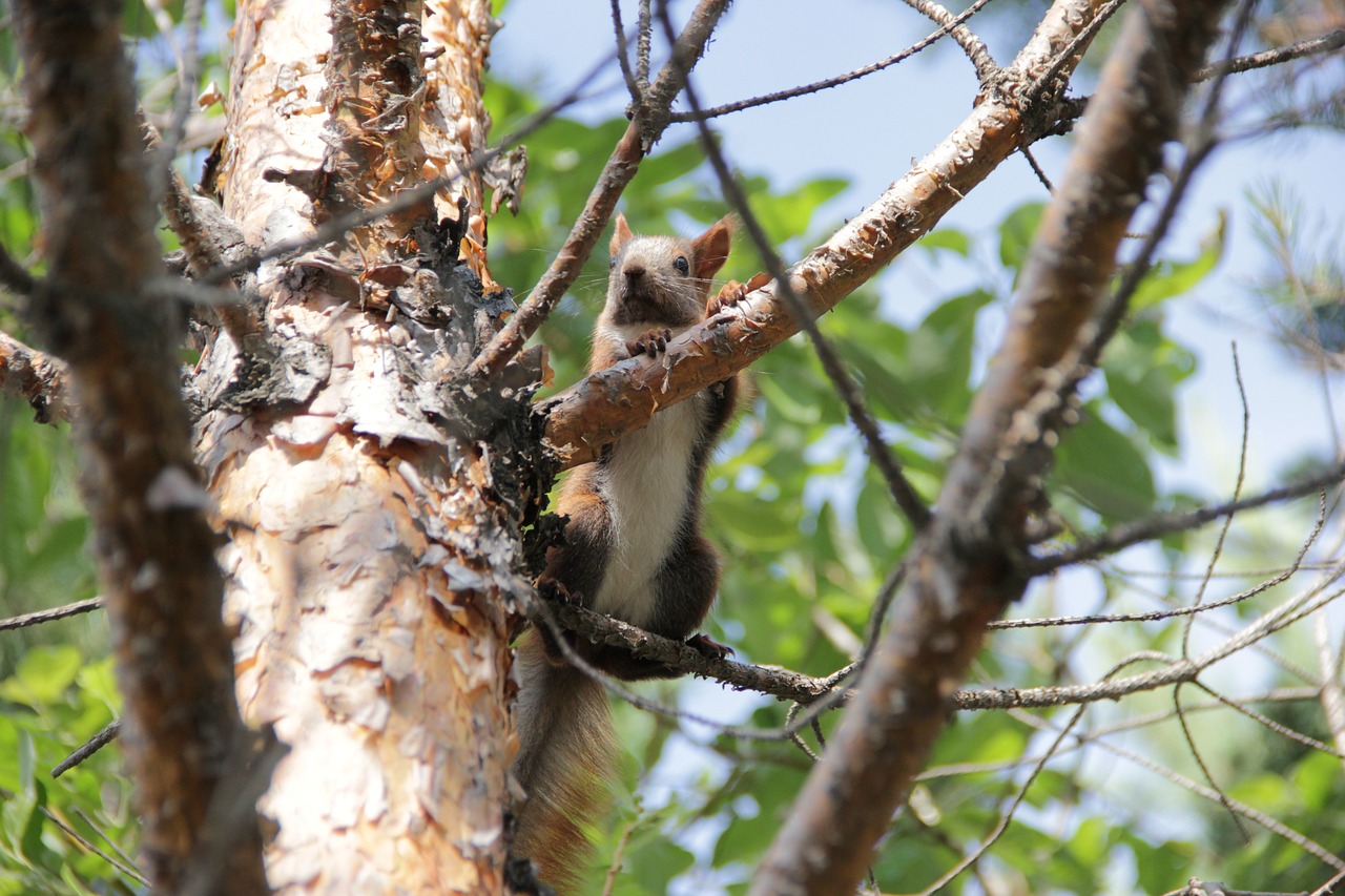 在生活的鸡毛蒜皮中，寻找励志的羽毛