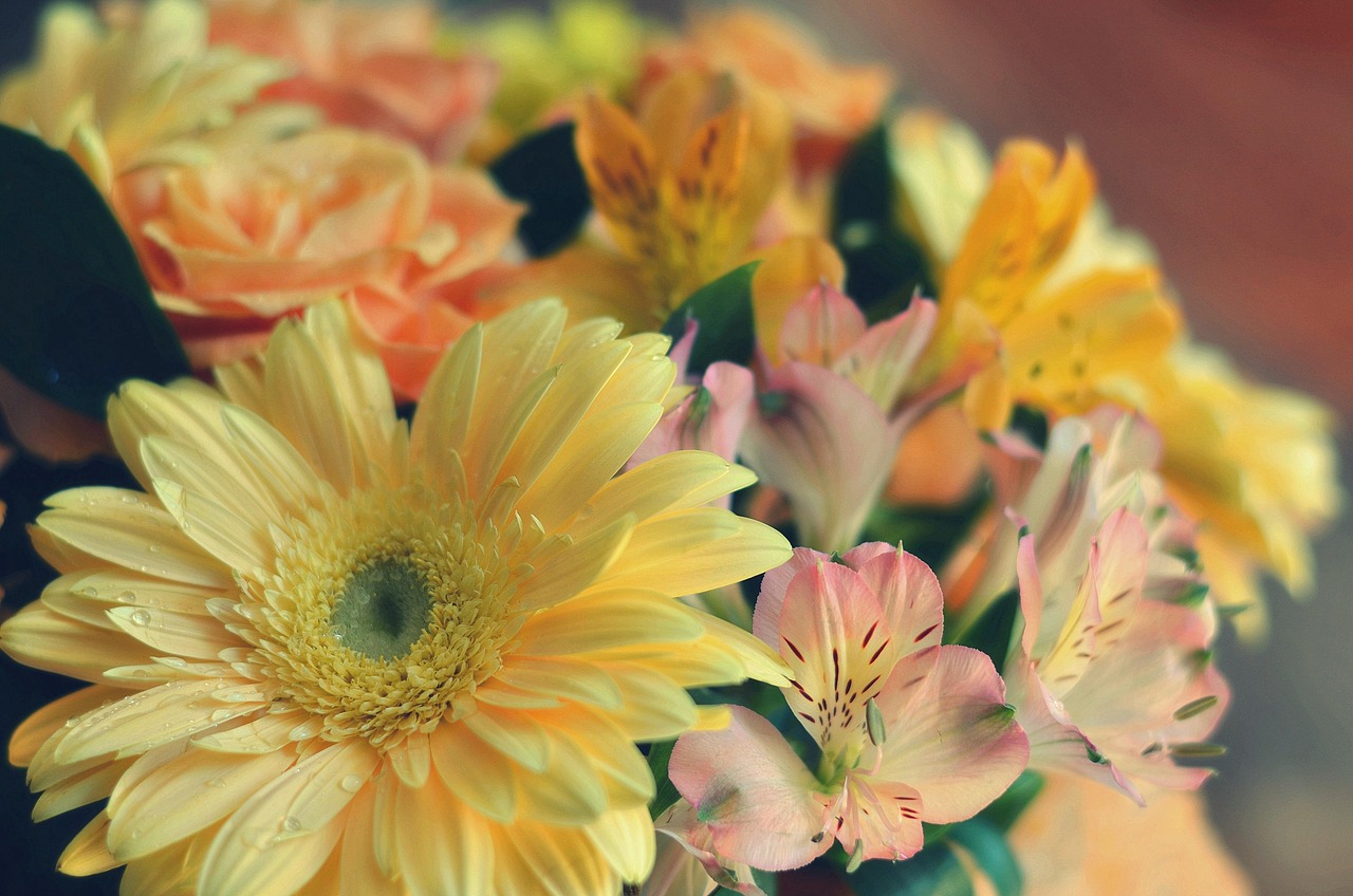 花与搭配的艺术，如何巧妙地将花卉融入日常生活