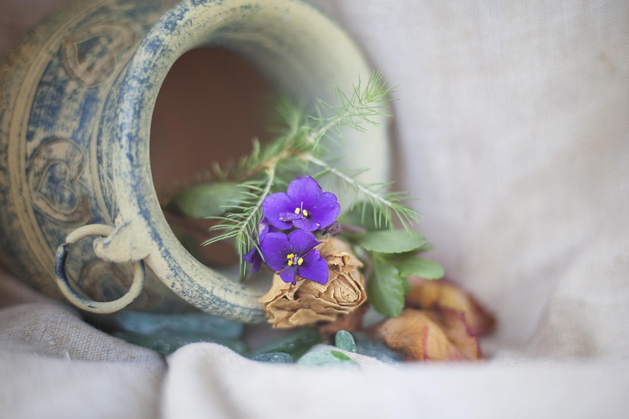 花花世界，探索花花一词的多重含义与文化魅力
