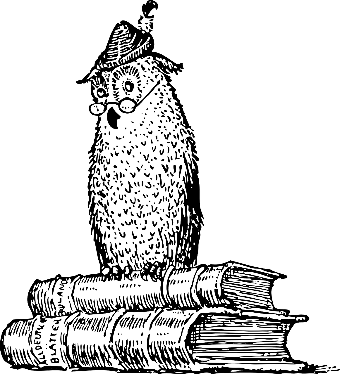 探索熊猫王国，熊猫知识大百科