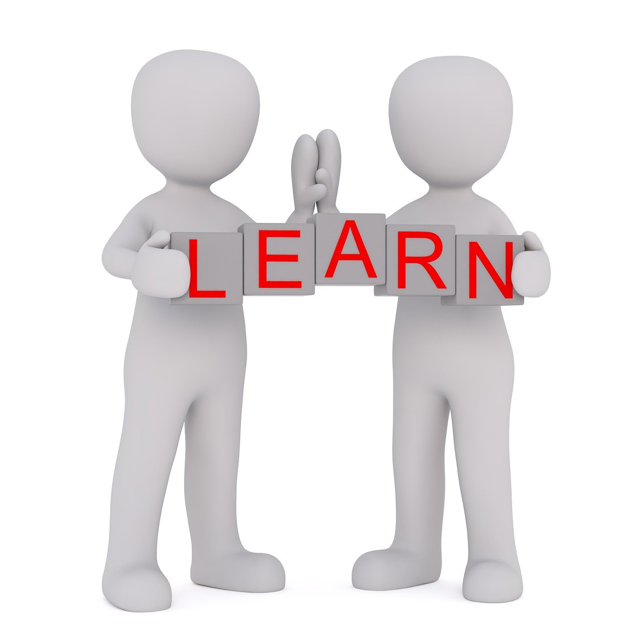 探索知识的海洋，儿童百科问答及答案图片