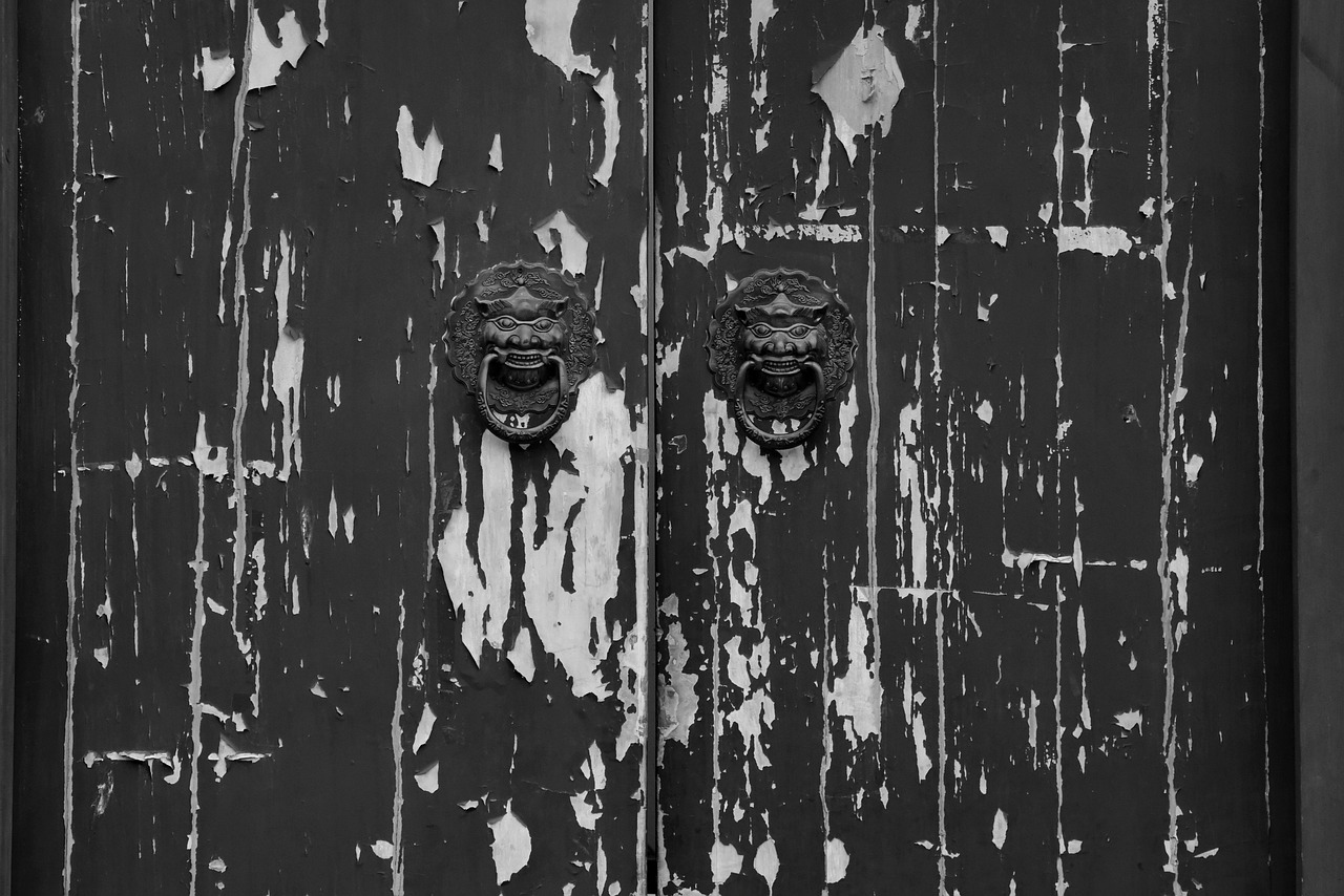 穿越时空的智慧，探索中国传统文化百部经典