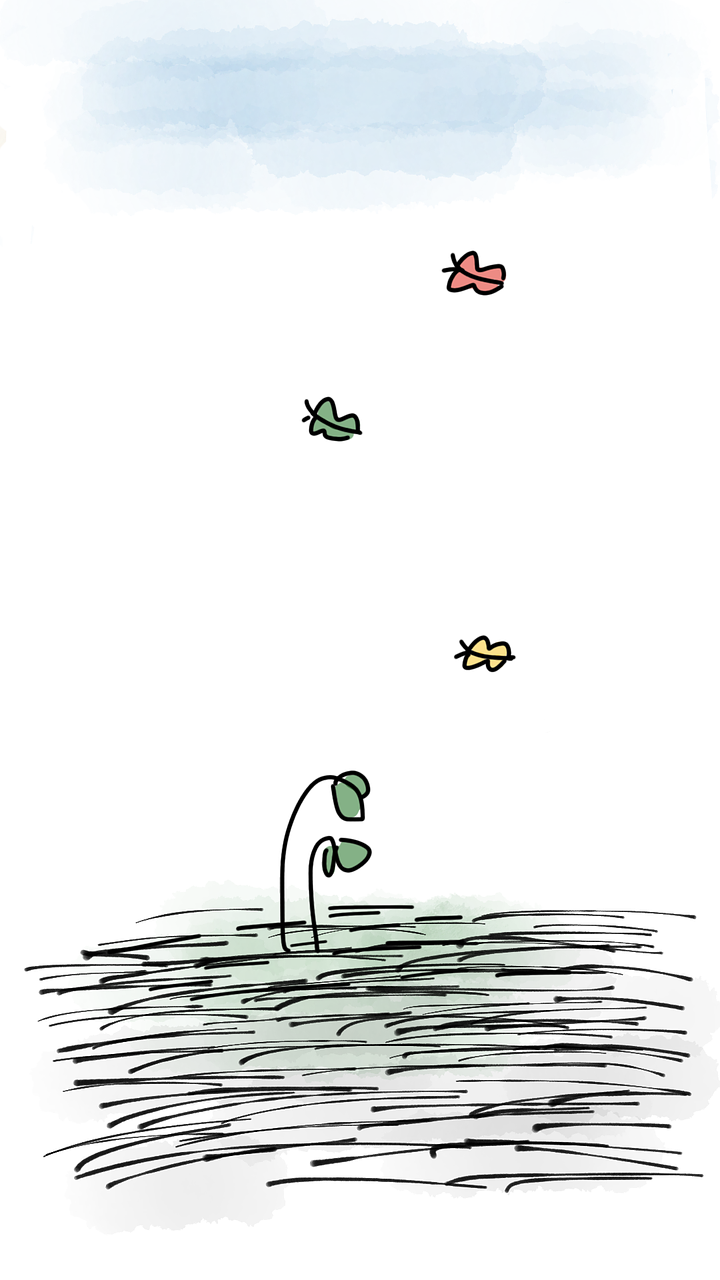 与花共语，简短而深刻的生活哲学