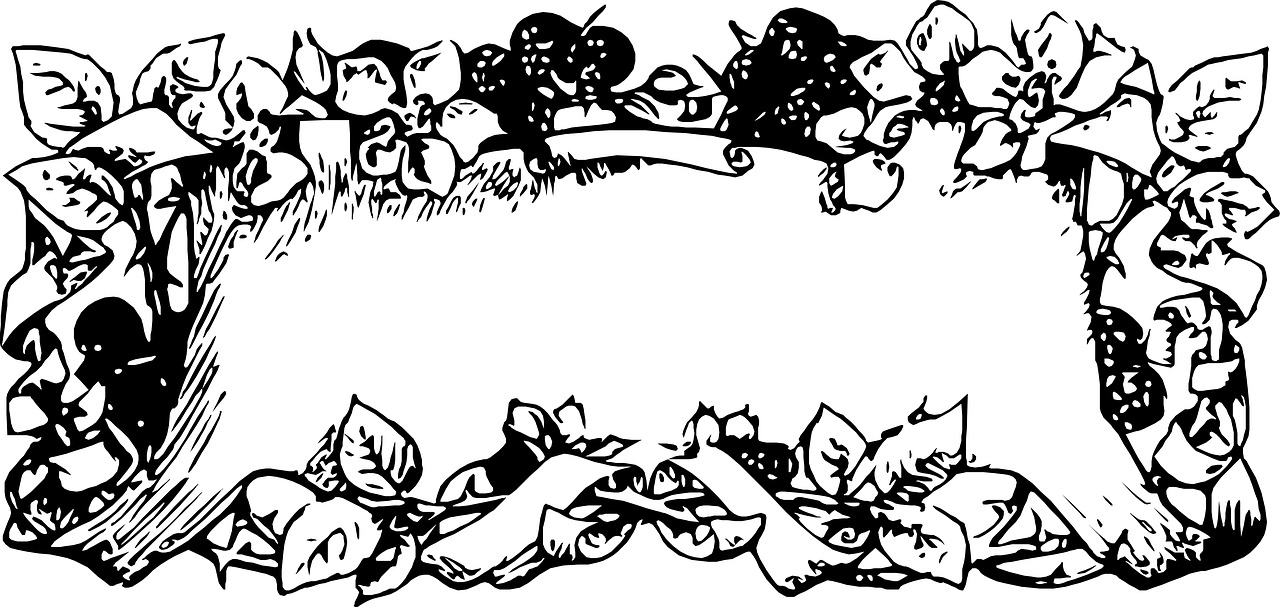 动物百科全书，一扇通往自然奥秘的窗口