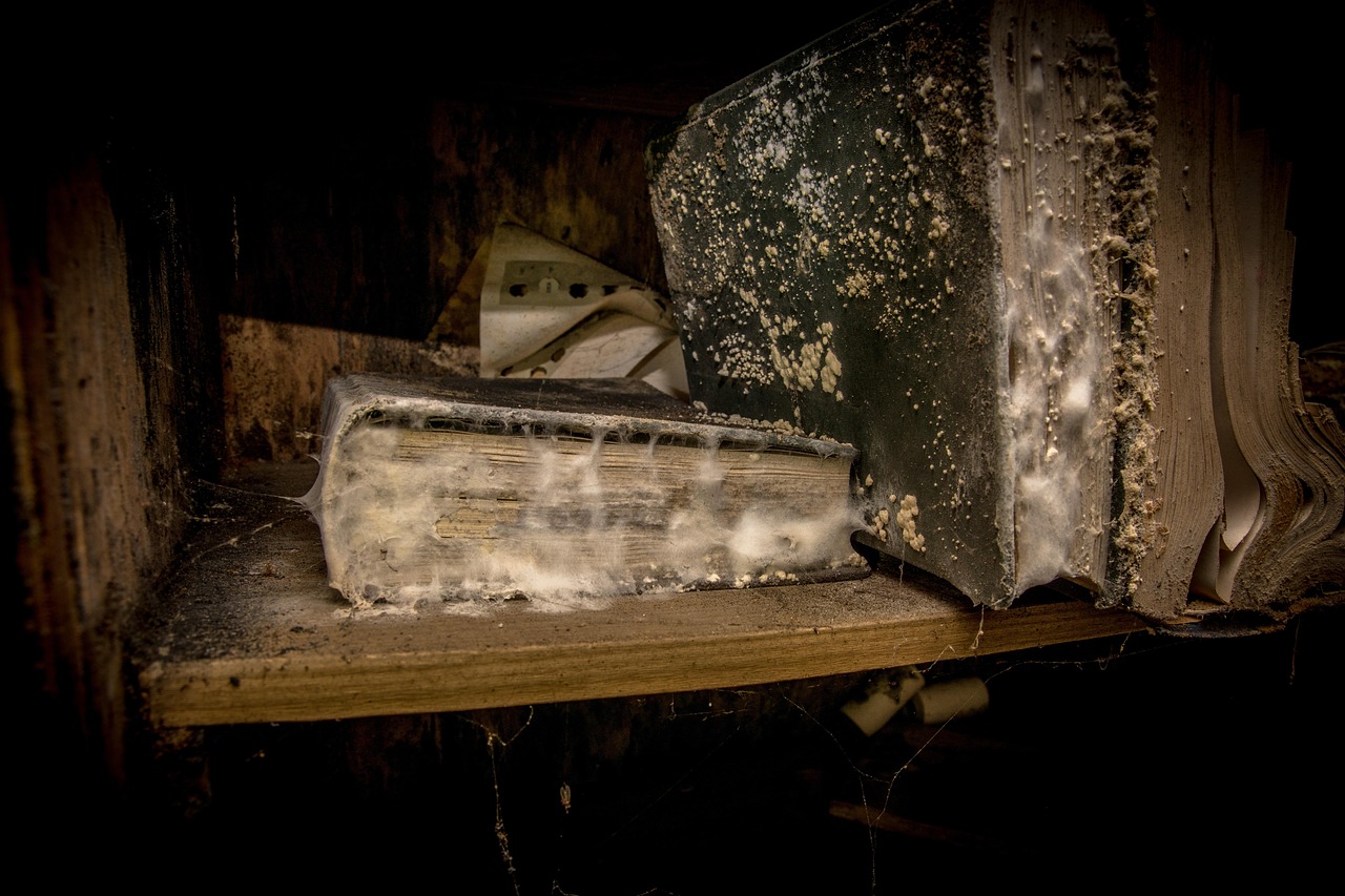 探索原神中的书页，解密游戏世界的秘密