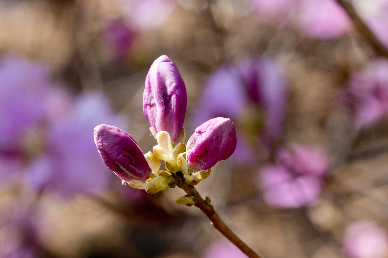 在风景中寻觅生活的真谛，自然之美与心灵之悟