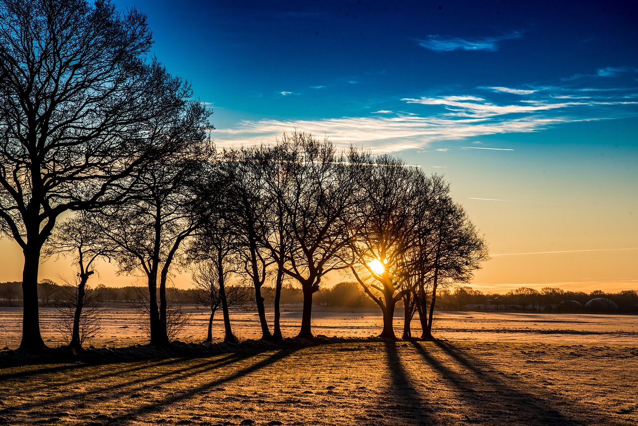 在风景中寻觅生活的真谛