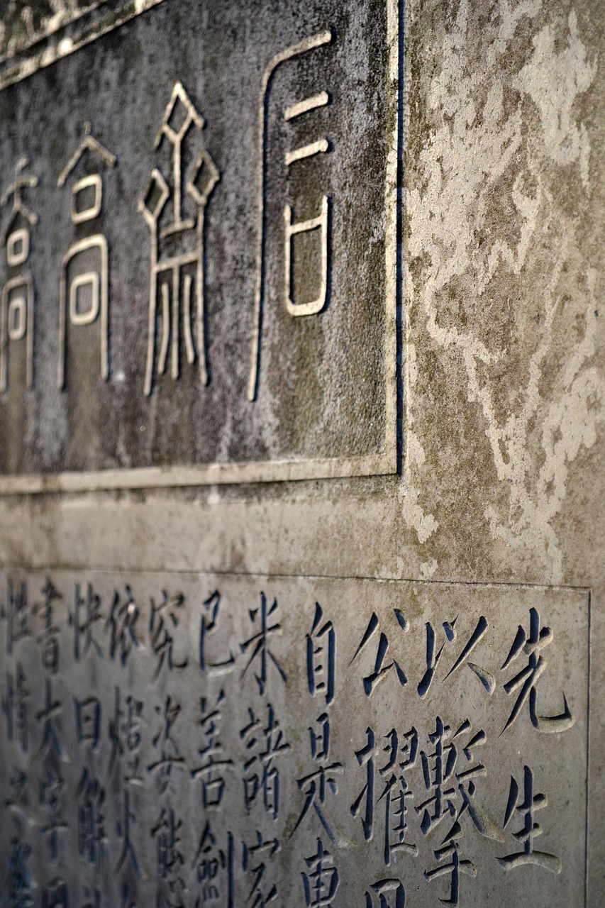 探索中国传统文化的宝藏，参考答案的力量