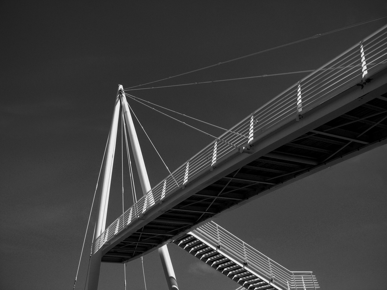 中药常识大全集，探索传统智慧与现代科学的桥梁