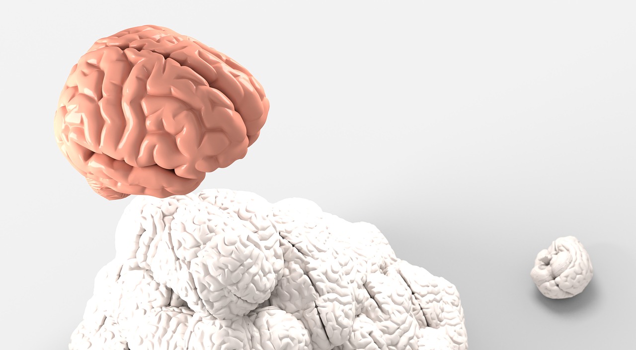 探索传统智慧，中药材大全与药材认识的深度解析