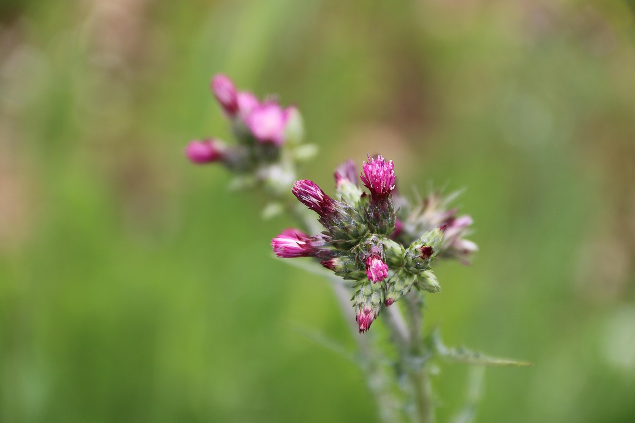 生活的无奈，经典名句中的深刻启示