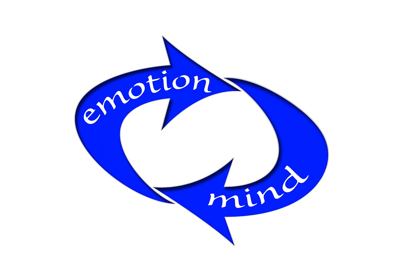 探索瑰宝，传统文化大全集的百度网盘下载指南