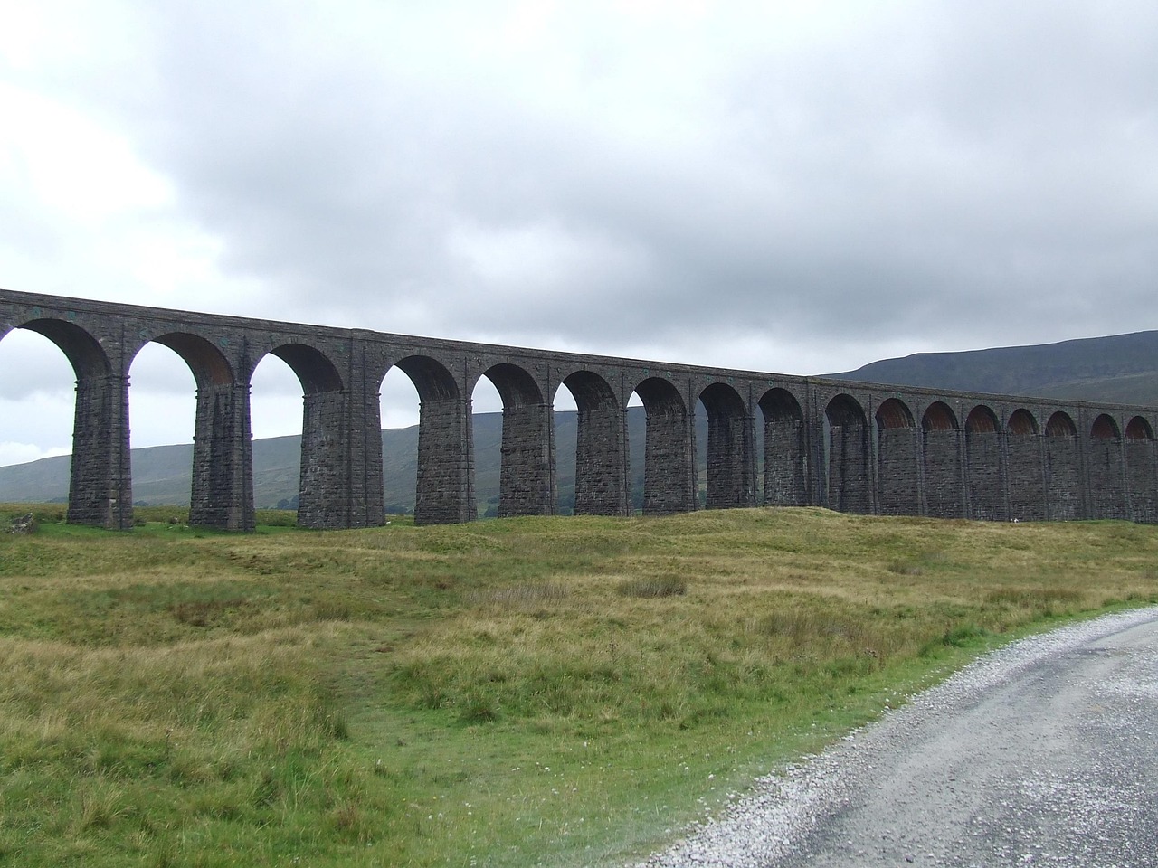 花语，自然的语言，情感的桥梁