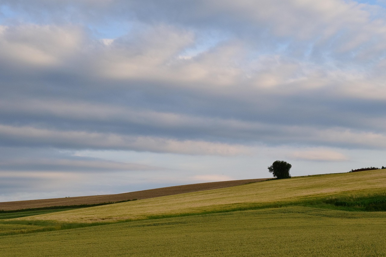 岁月沉淀的智慧，四十多岁时的人生感悟
