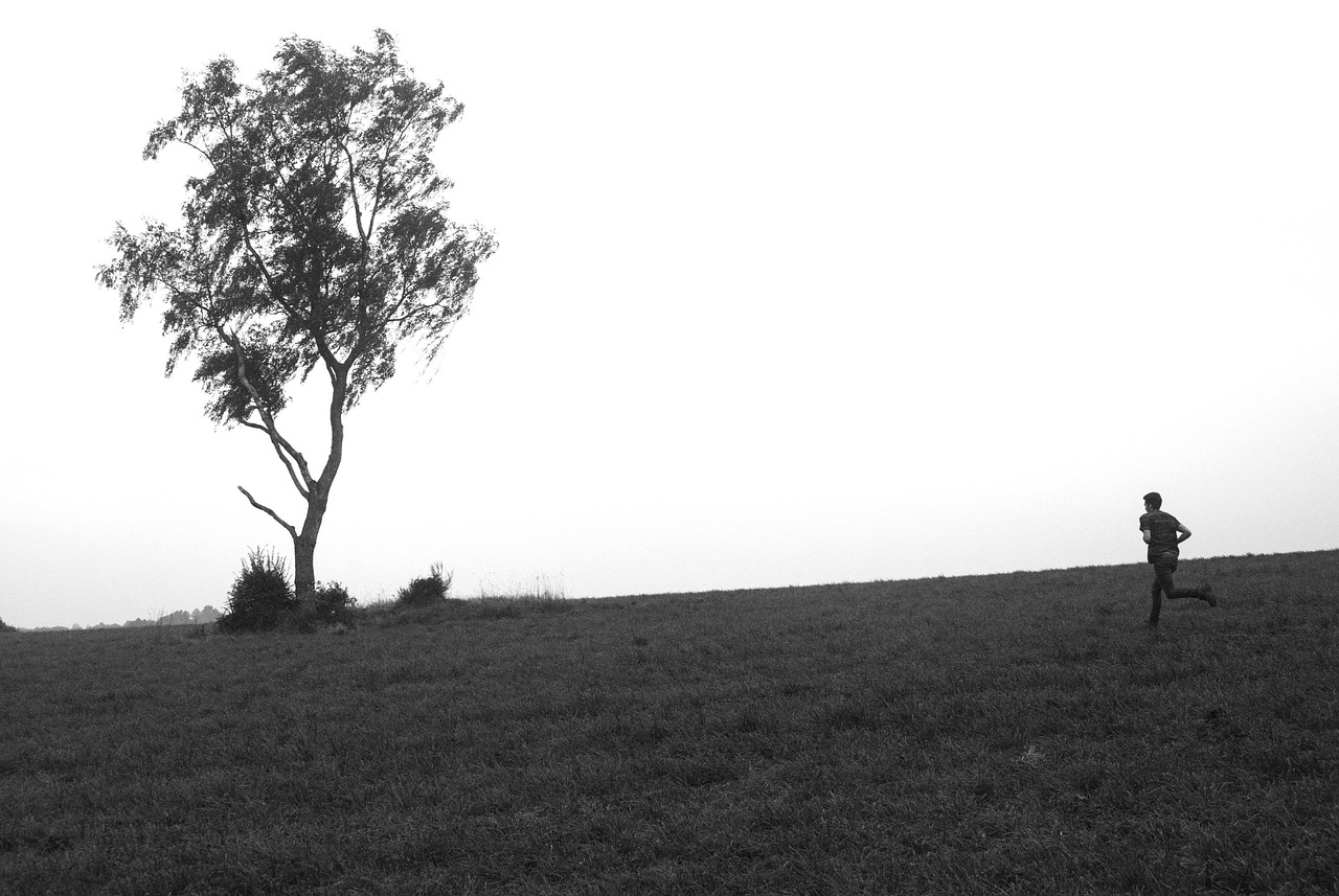 生活不易，但正能量照亮前行之路