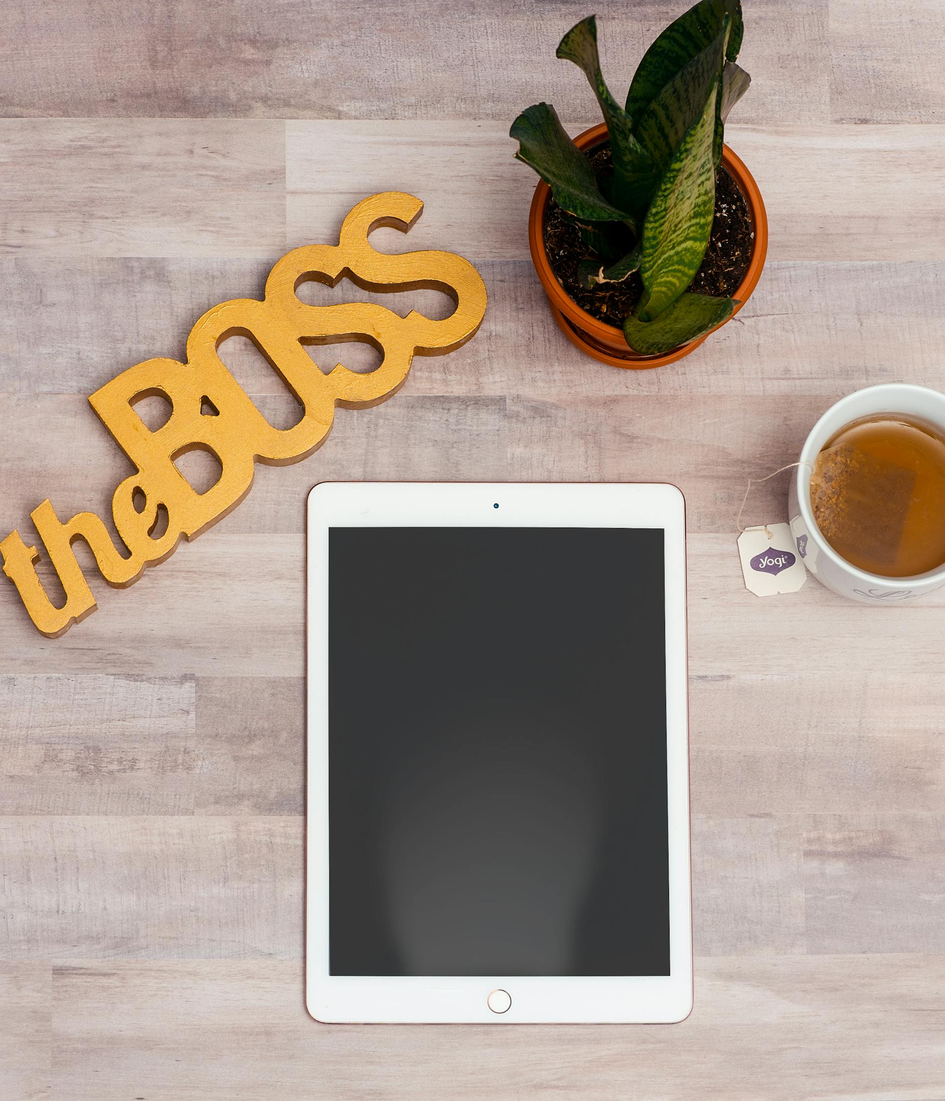 探索自然瑰宝，中草药认识大全图片图书深度解析