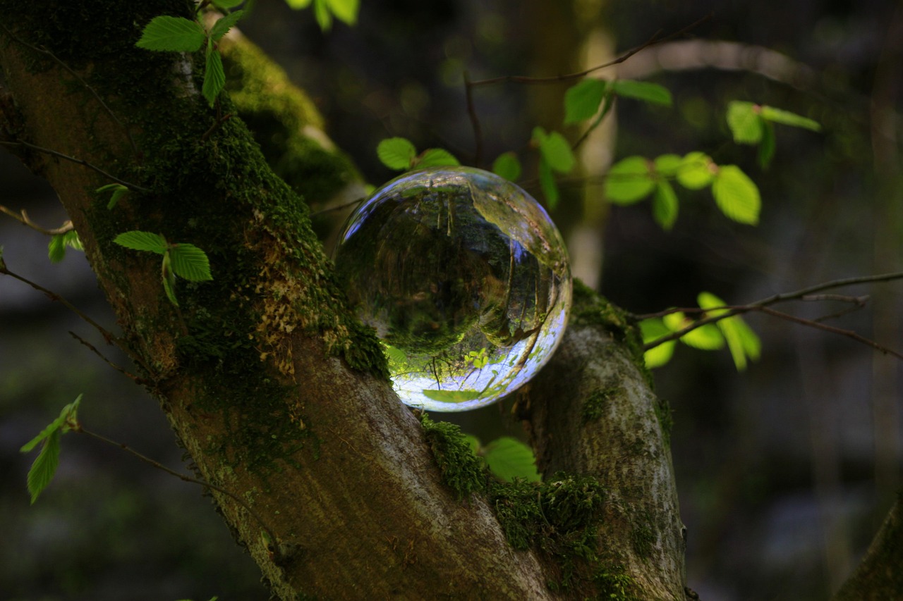 探索自然的宝藏，药材大全20000种的奥秘与魅力