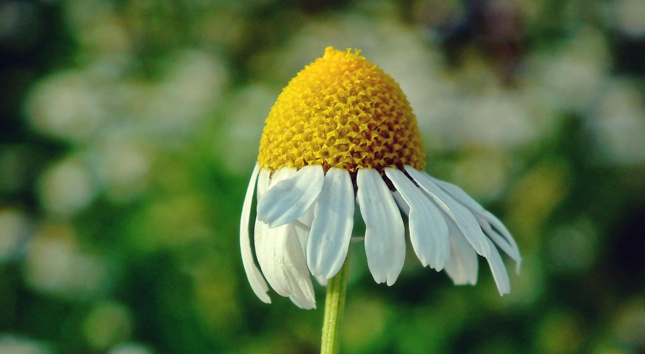 微笑的力量，让生活更美好的温馨句子