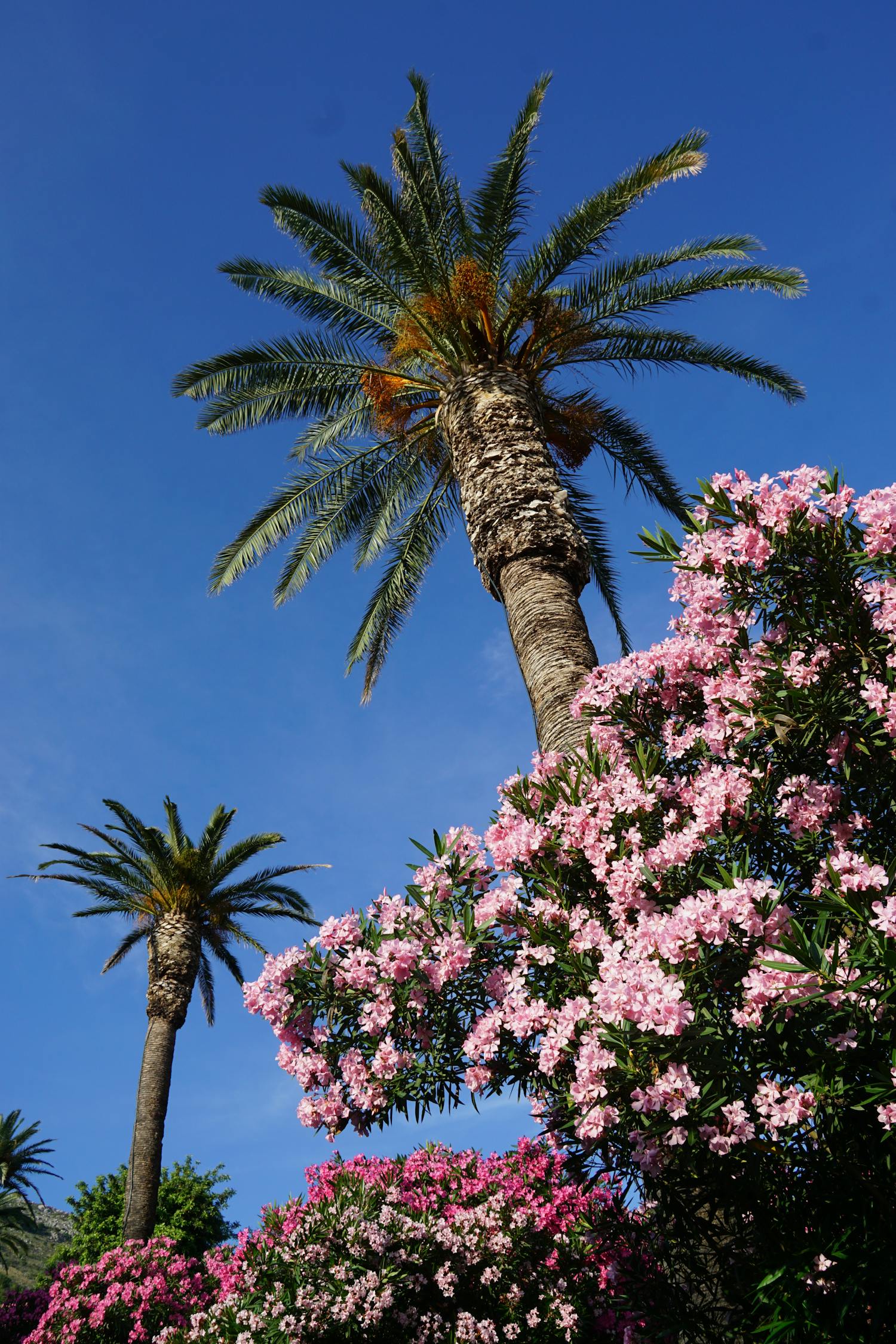 句句深入人心，经典正能量句子的力量