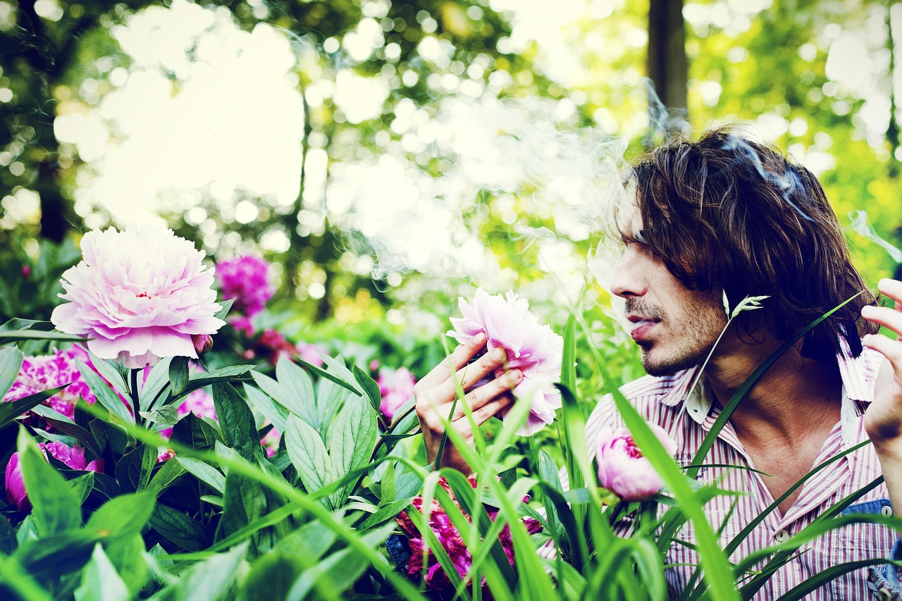 幸福美好生活的诗篇，用句子描绘心情的艺术