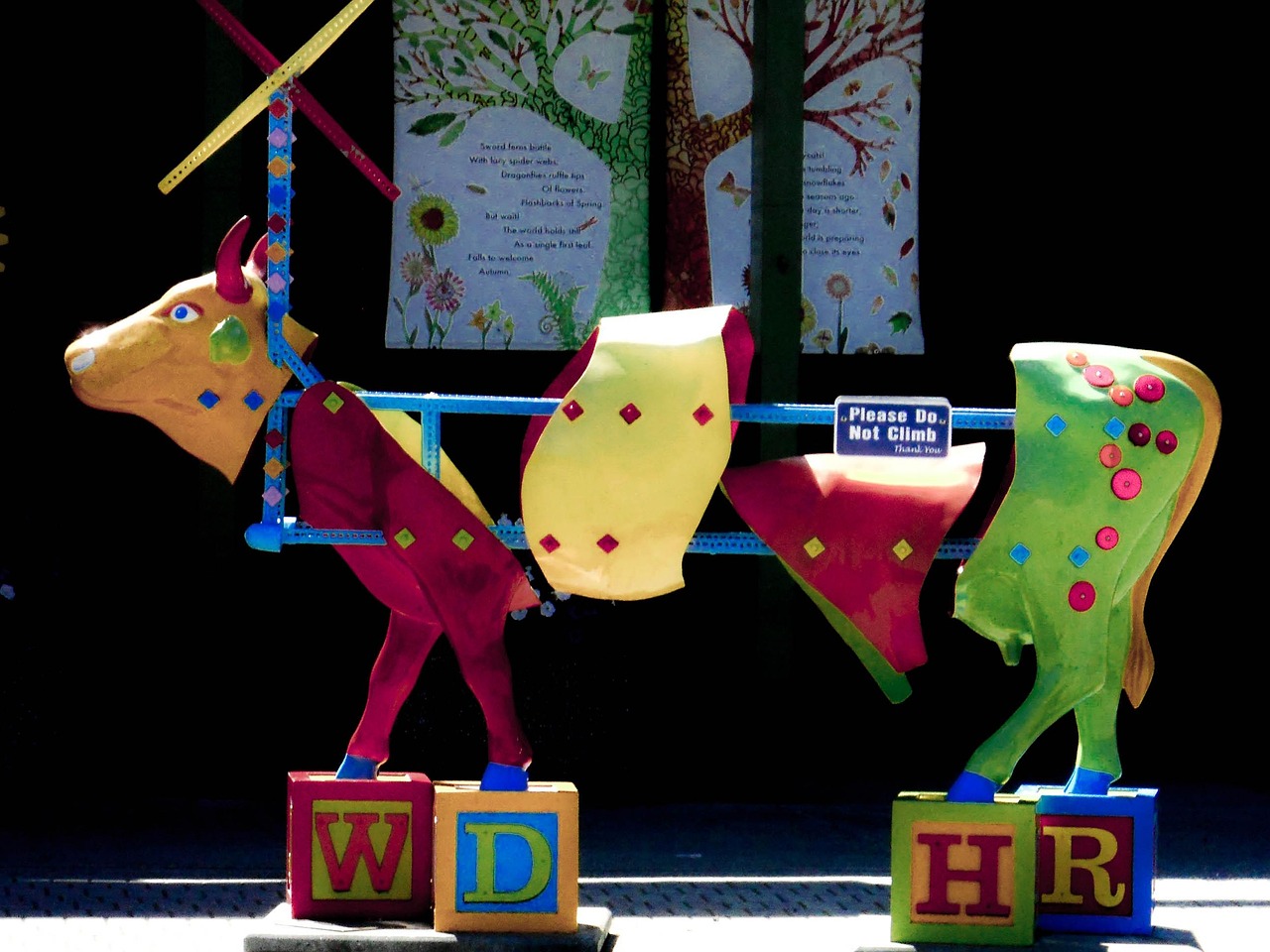 探索世界的奥秘，少儿百科全书的奇妙之旅