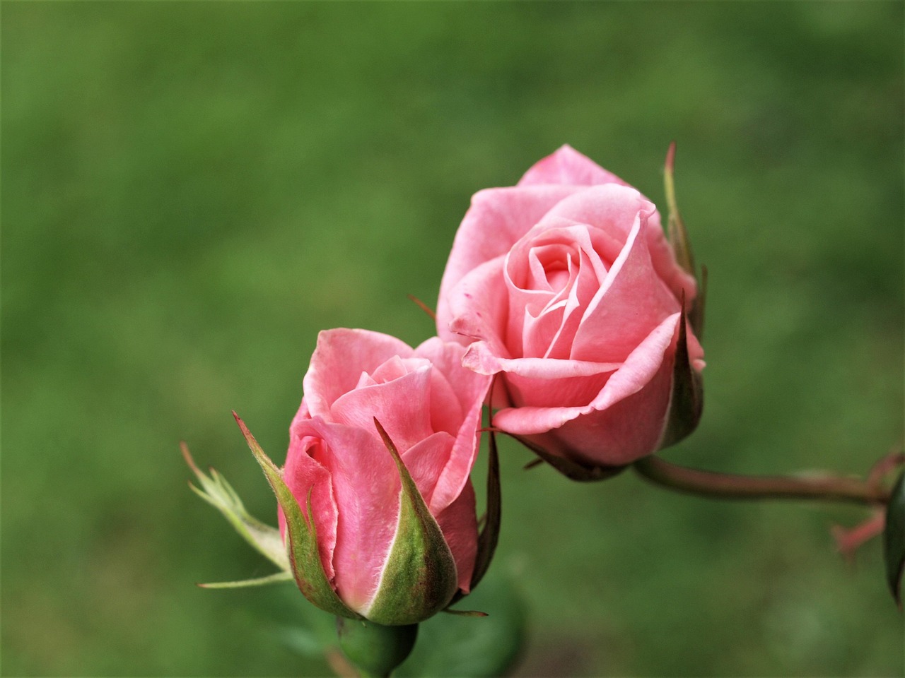 生活中的无奈，短句中的深刻感悟