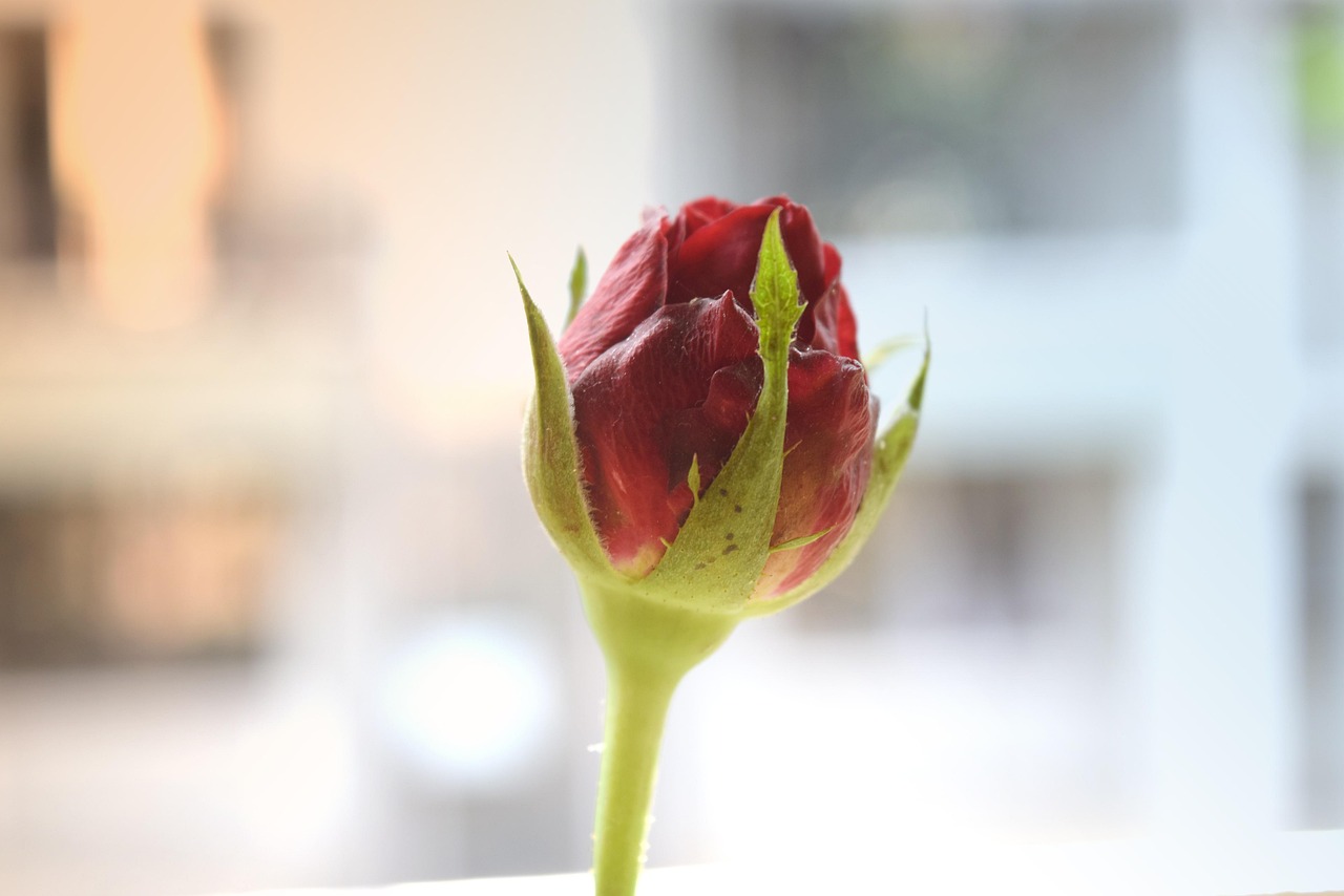 现实之言，朋友圈中的深刻感悟