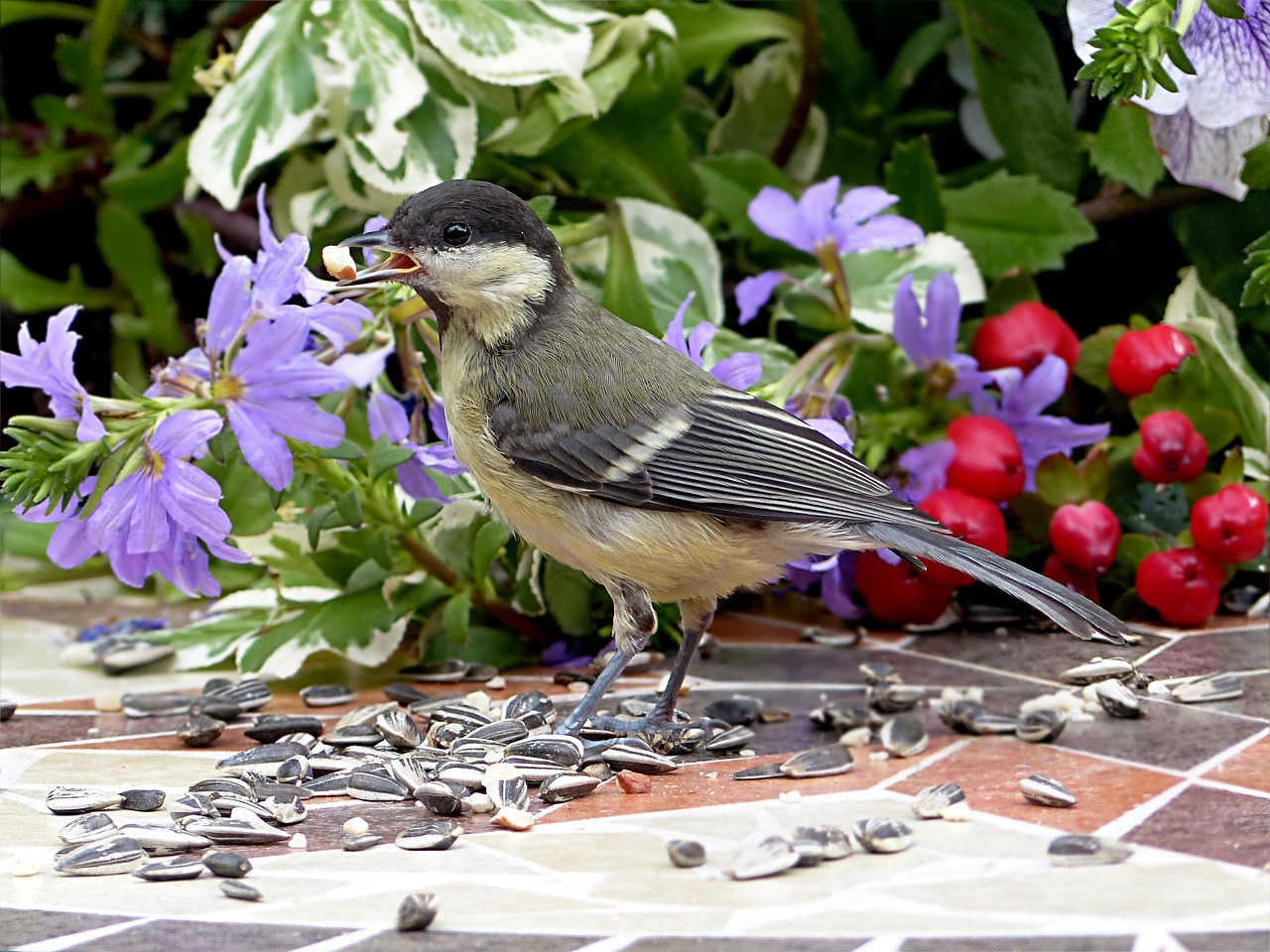 花与鸟的简笔画，轻松上手的自然之美