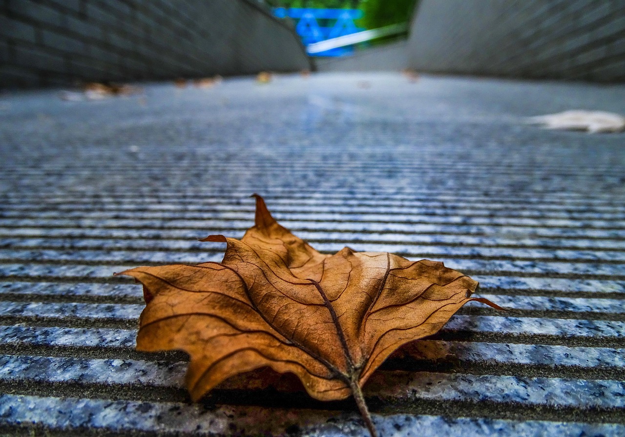 感恩父母，60句经典句子表达深情