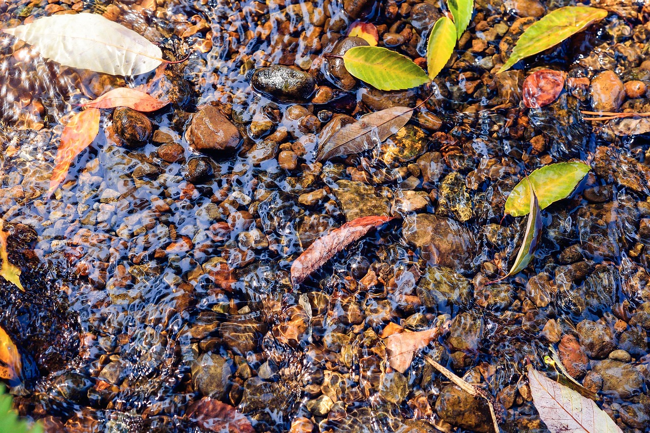 花花世界，网络流行语花花的多重含义与文化解读