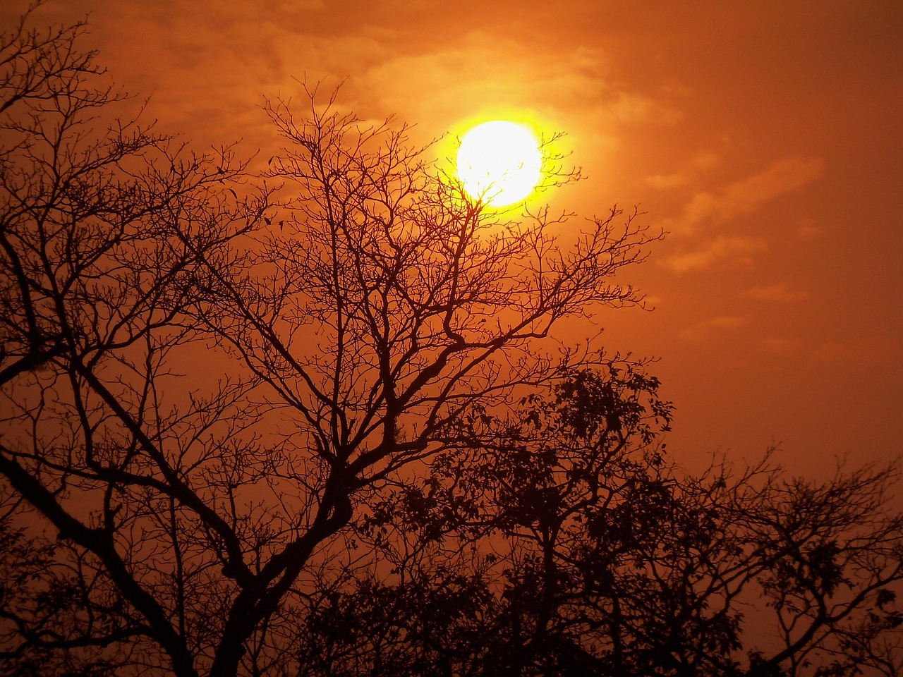 致自己，在纷扰世界中寻找内心的宁静