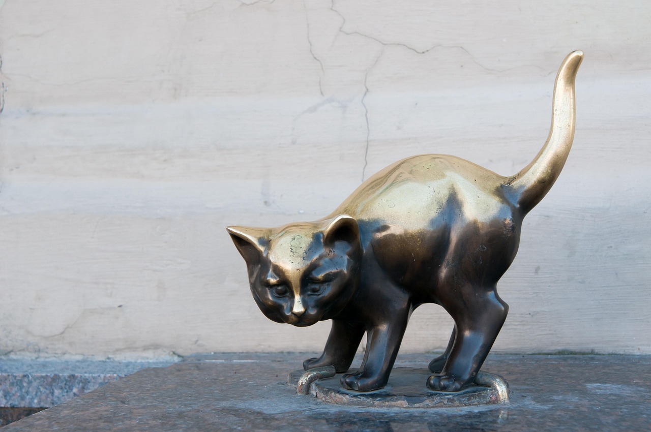 探索动物世界的奥秘，儿童动物百科全书作者的奇妙旅程