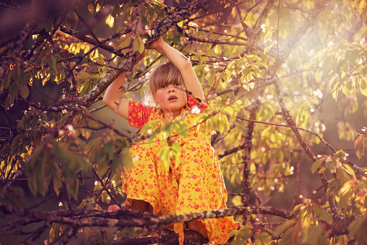 品味生活，那些描绘无奈与心酸的诗句