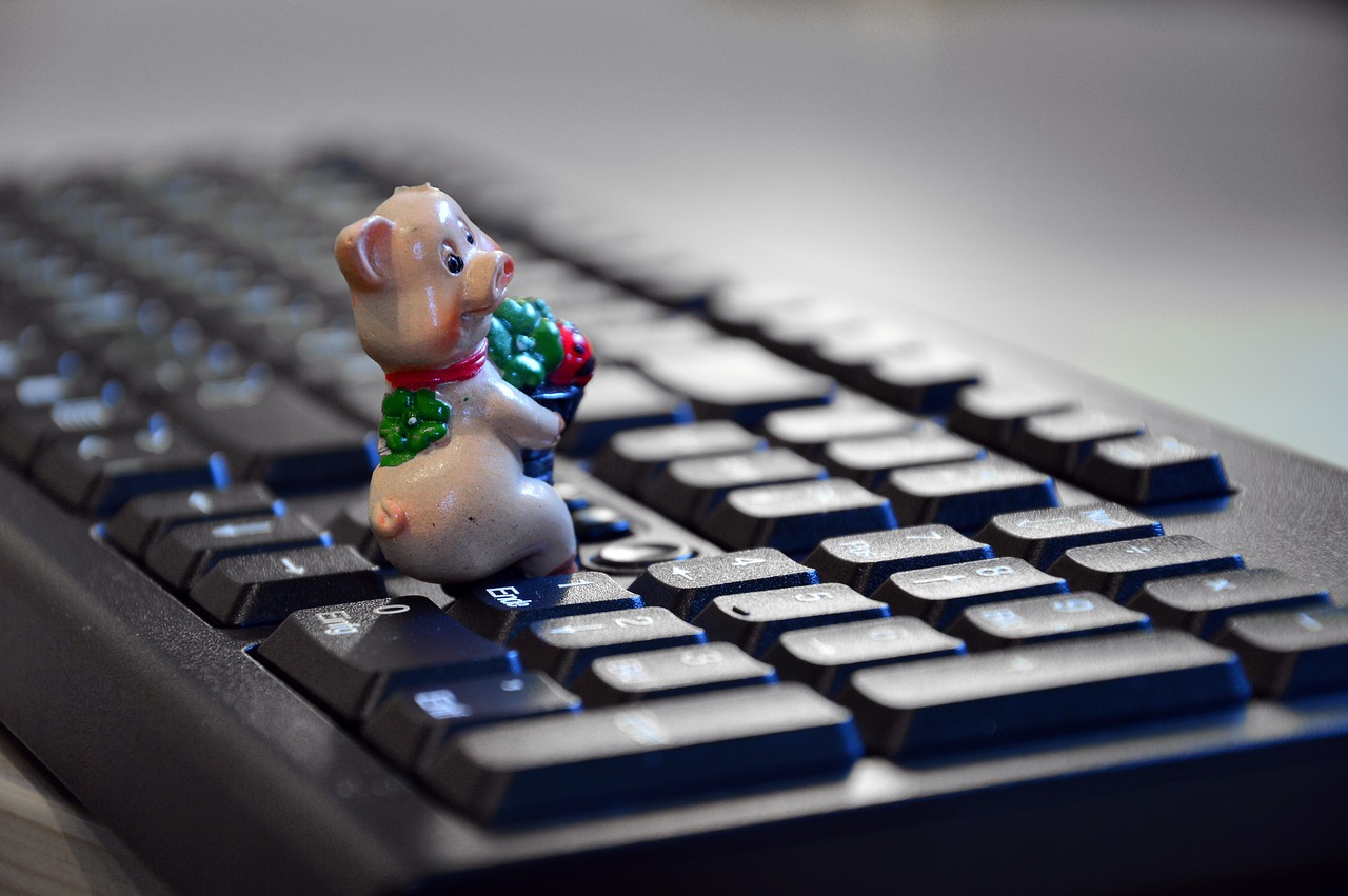 春节知识百科大全视频下载，解锁传统节日的智慧与魅力