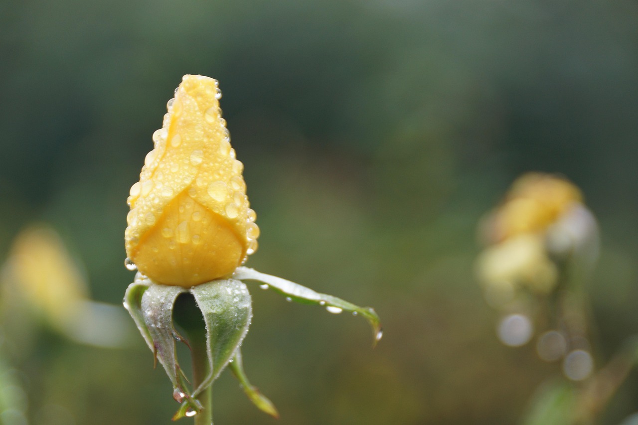 生活的力量，简短而深刻的励志句子